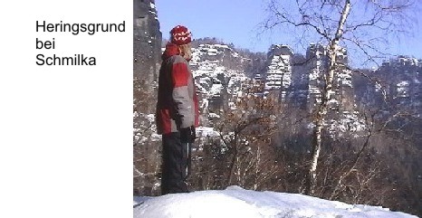 winter im heringsgrund